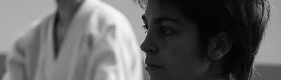 André Palmeri - Aïkido